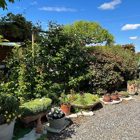 مبيت وإفطار Massa Lombarda La Casa Di Biba المظهر الخارجي الصورة