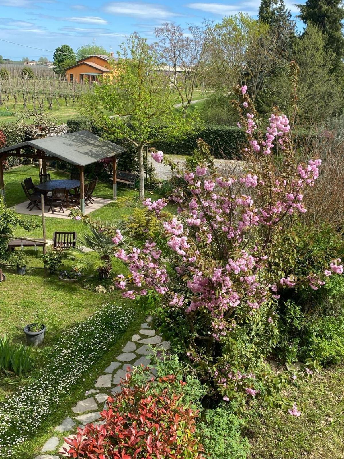 مبيت وإفطار Massa Lombarda La Casa Di Biba المظهر الخارجي الصورة